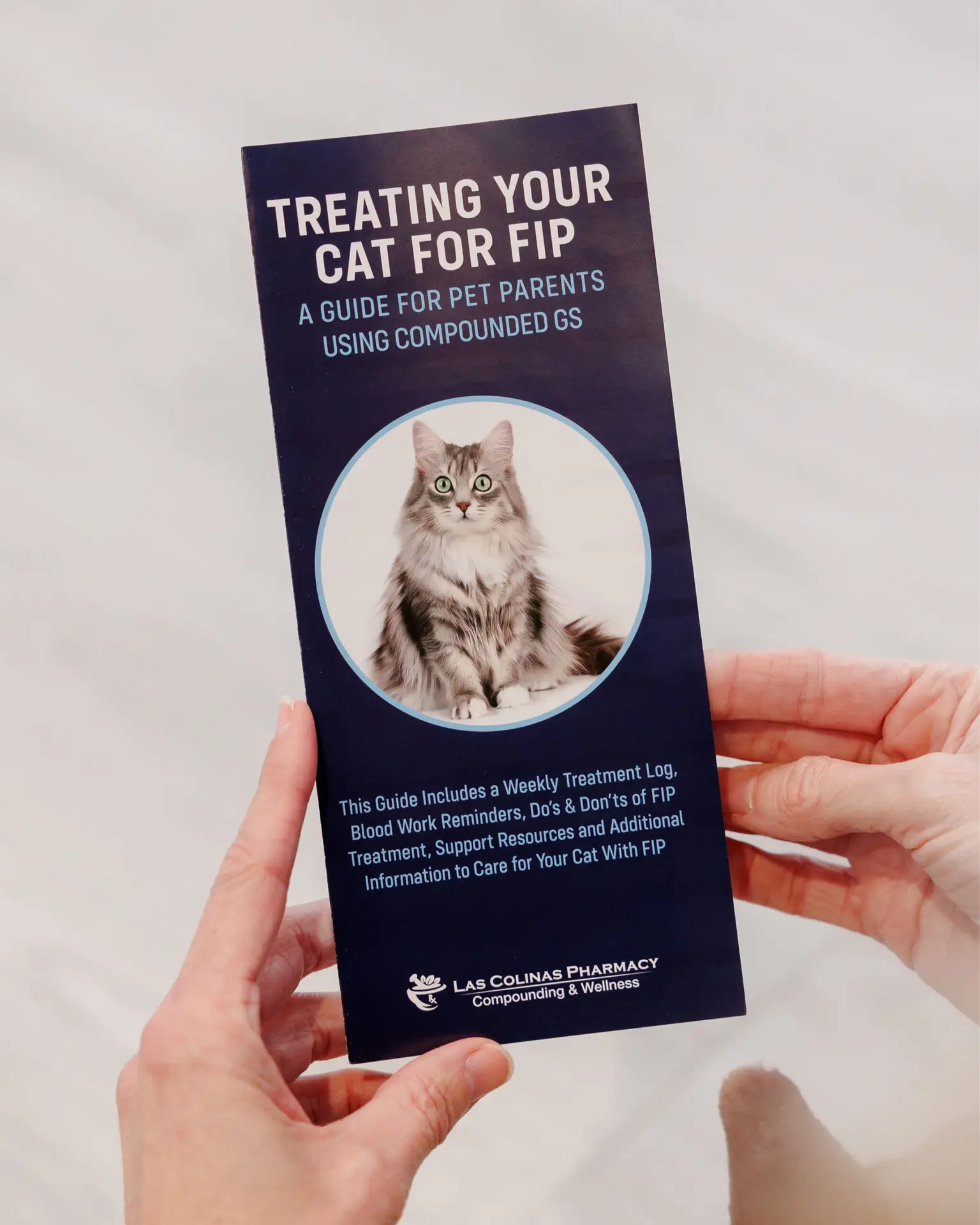 pamphlet on how to treat cats with fip